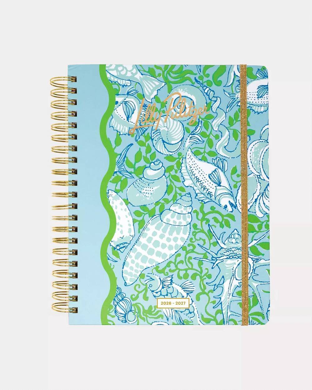 NEW LIFEGUARD PRESS 17 month jumbo agenda planner in day dream blue throw me a l